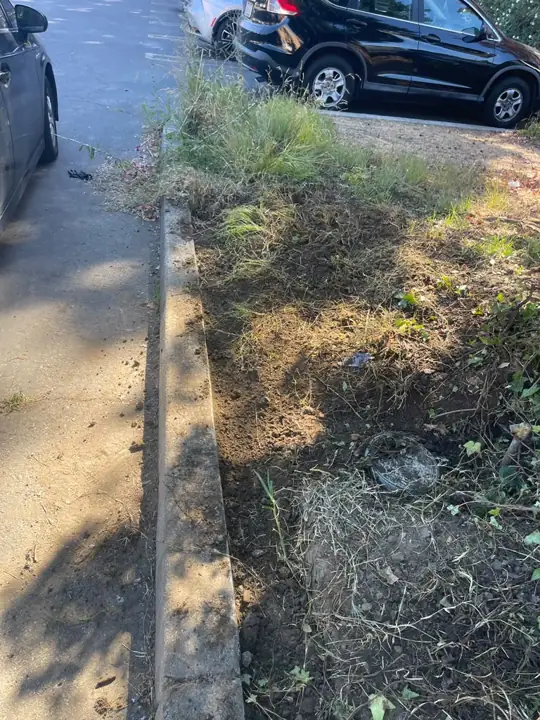 PVC irrigation line exposed along a parking lot curb during a commercial repair
