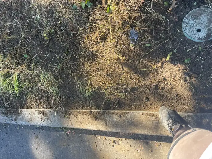 Irrigation valve box set at grade after a sprinkler valve repair