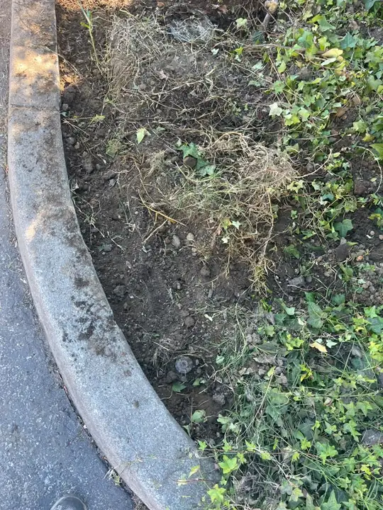 Planter restored along the parking lot curb after the sprinkler system replacement